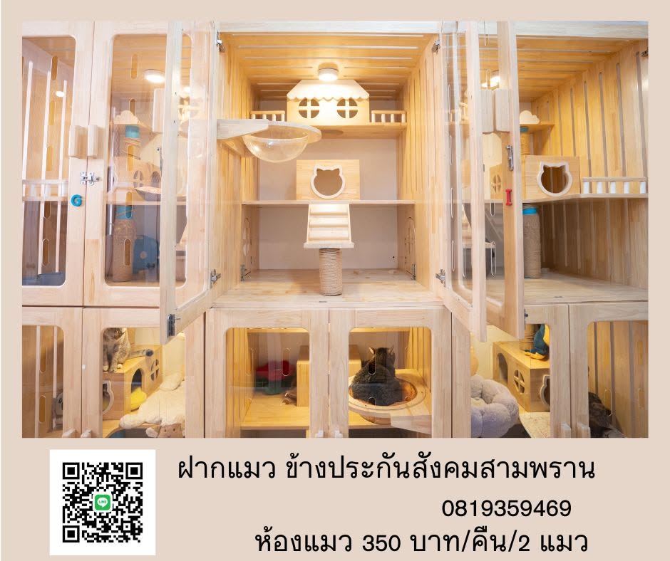 พี่เพียวดูแลน้องหมาน้องแมวที่มาฝากเลี้ยง
