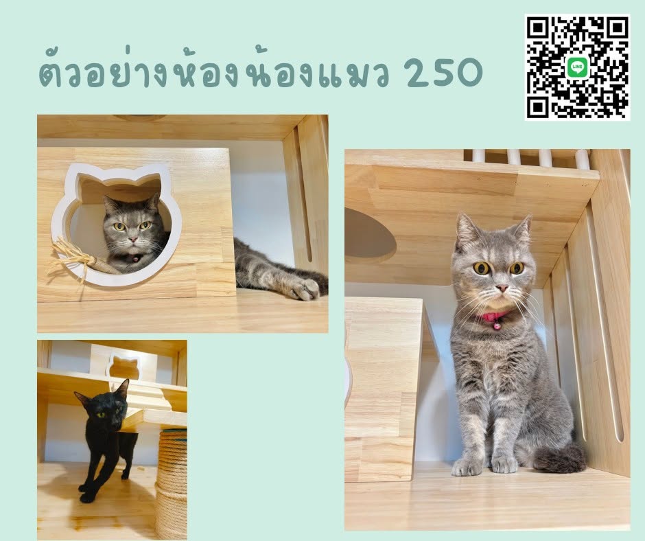 ตัวอย่างห้องพักไซส์ S