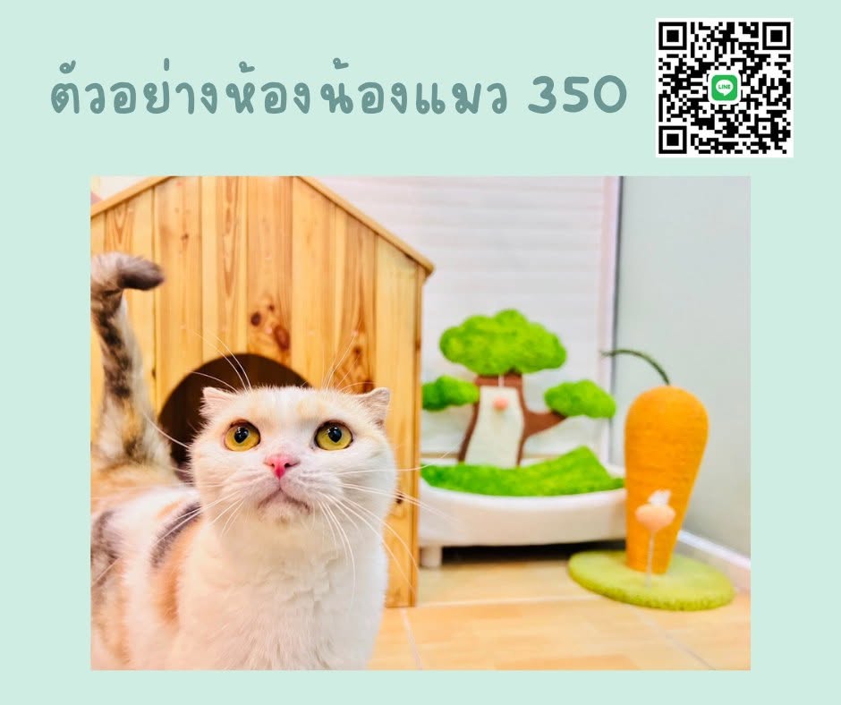 ตัวอย่างห้องพักไซส์ M