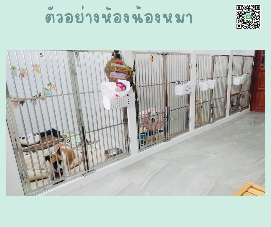 ตัวอย่างน้องหมาที่มาฝากเลี้ยง